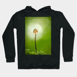 Mycena Mushroom with Green Background Hoodie